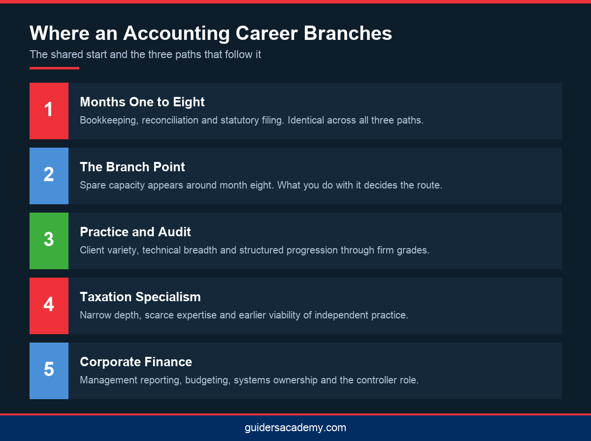 Infographic showing the shared start and three branches of accounting career growth in Kerala