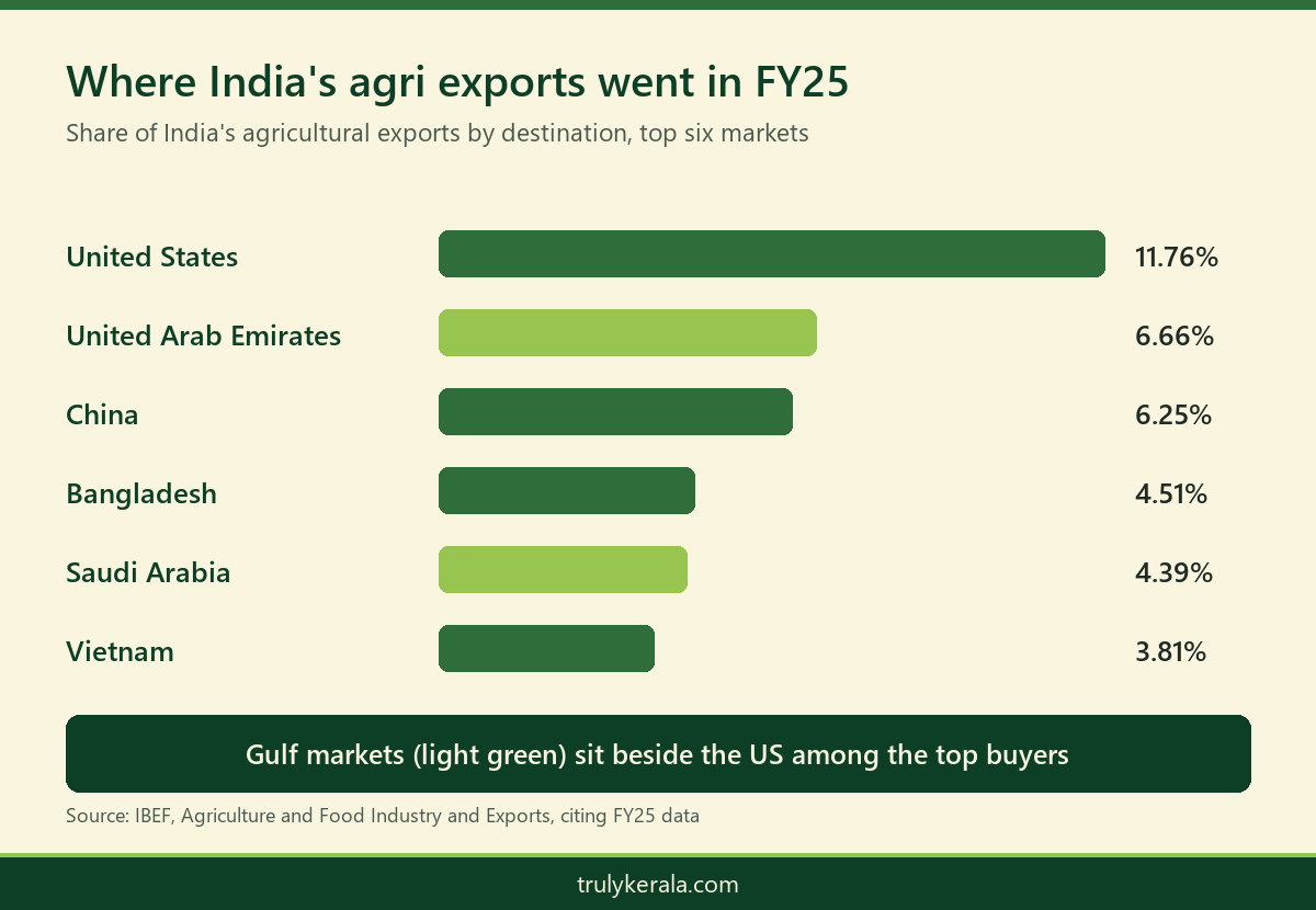 Bar chart of the top destinations for India's agricultural exports in FY25, led by the United States and the UAE