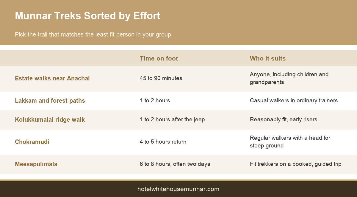 Chart comparing Munnar treks by difficulty, walking time and elevation