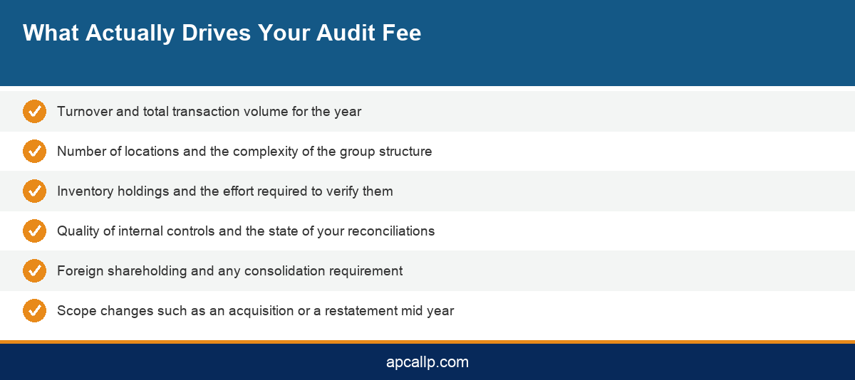 Infographic listing the factors that drive audit fees for businesses in Bengaluru