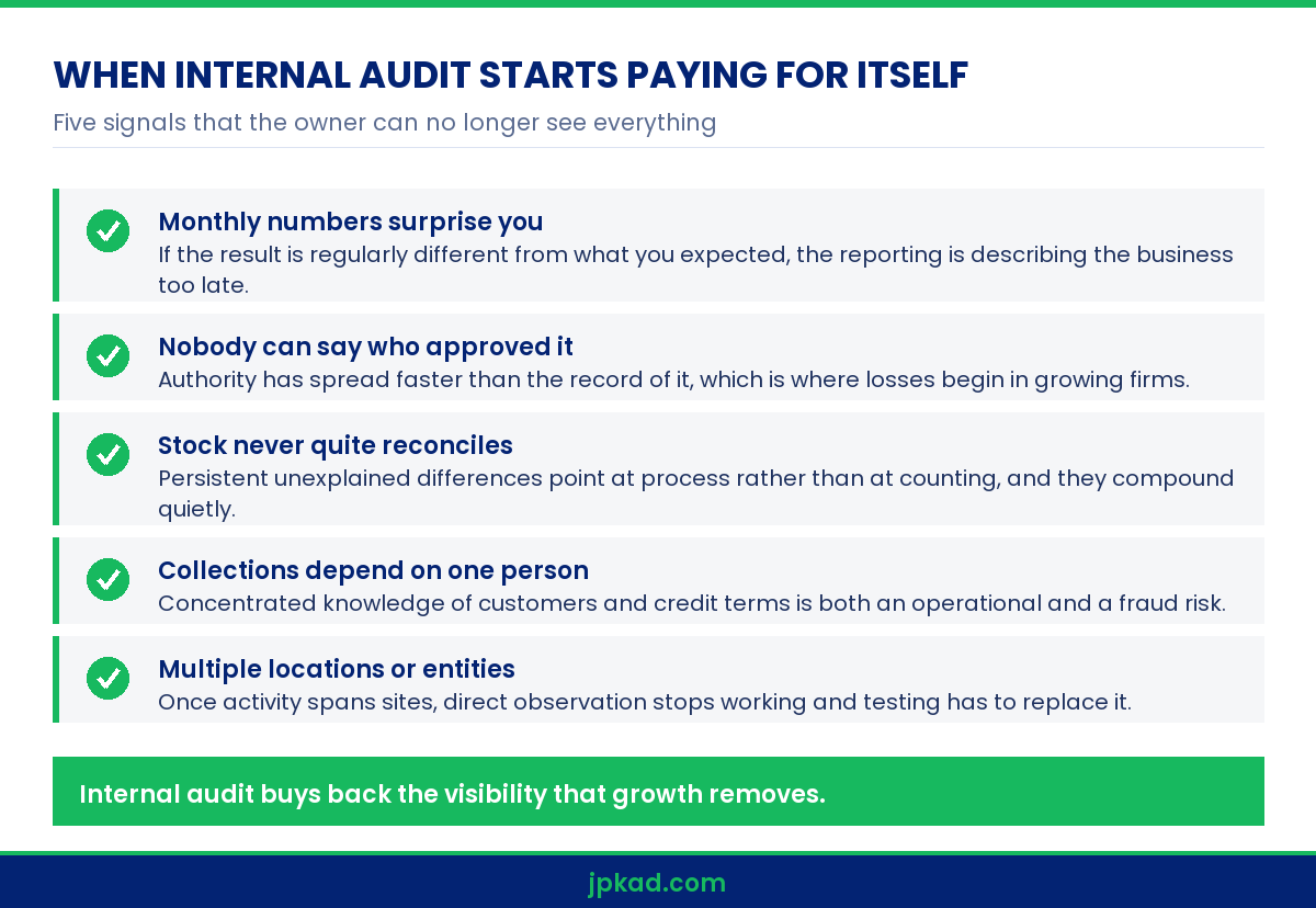 Infographic listing triggers for internal audit for SME India within risk advisory services