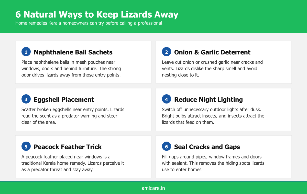 Infographic showing six natural home remedies to keep lizards away in Kerala homes