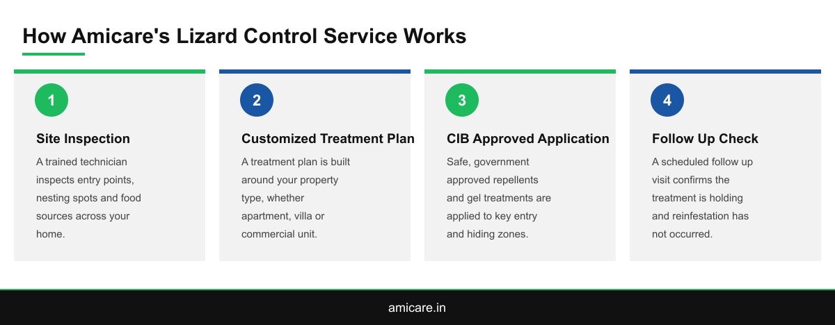 Four step infographic showing Amicare's lizard control process from inspection to follow up