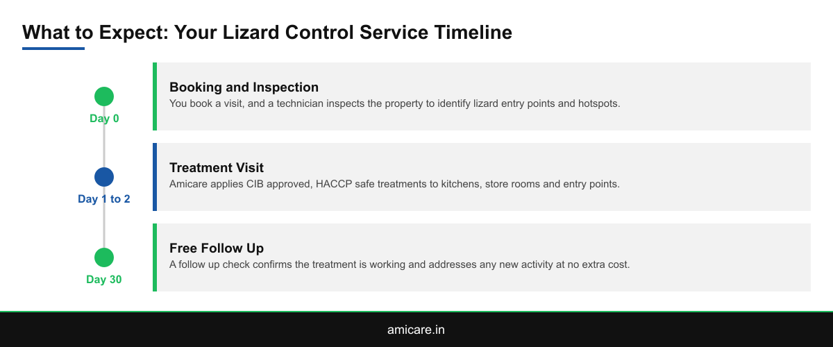 Timeline infographic showing the three stages of a lizard control service visit from booking to follow up