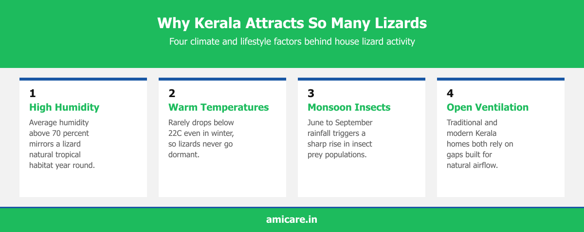 Infographic showing four climate factors attracting lizards in Kerala homes