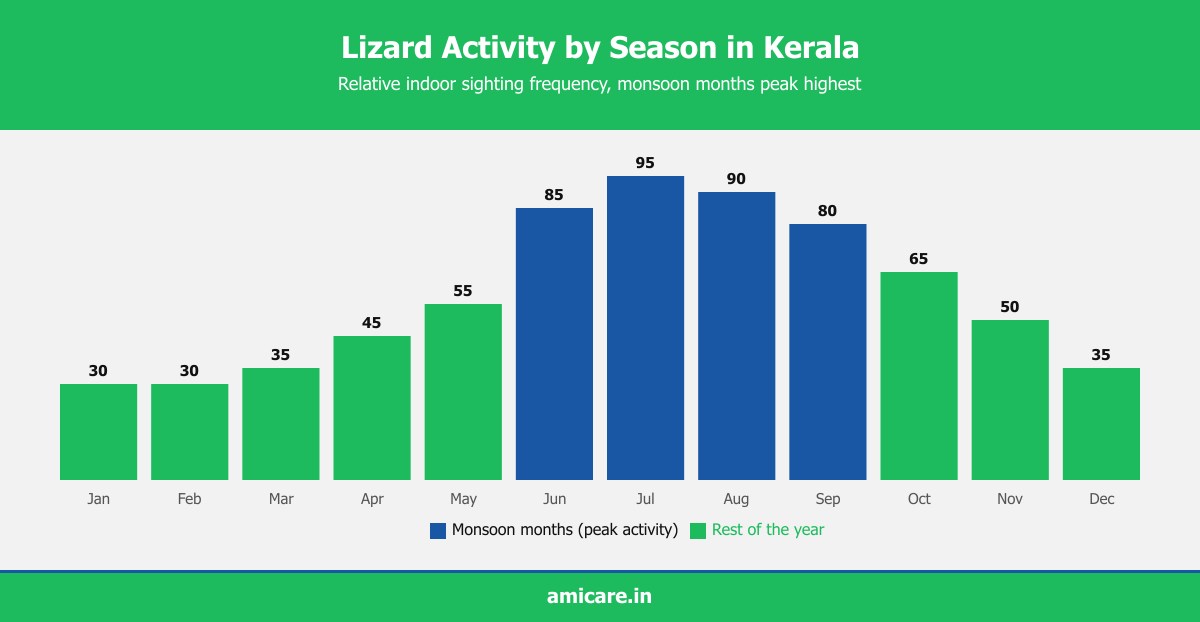 Infographic showing seasonal lizard activity levels in Kerala, peaking in monsoon months