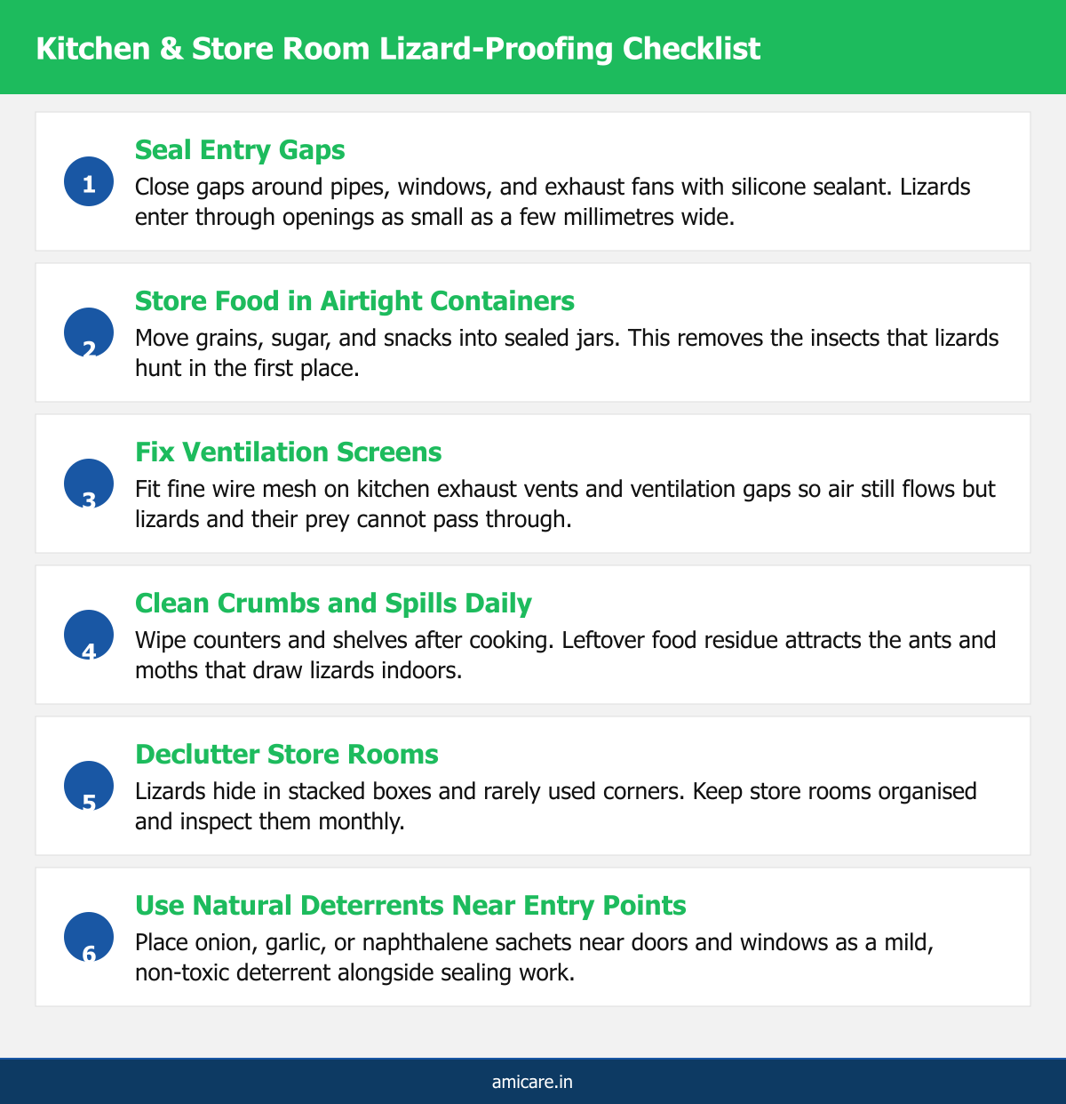 Numbered checklist showing six steps to lizard proof a kitchen and store room
