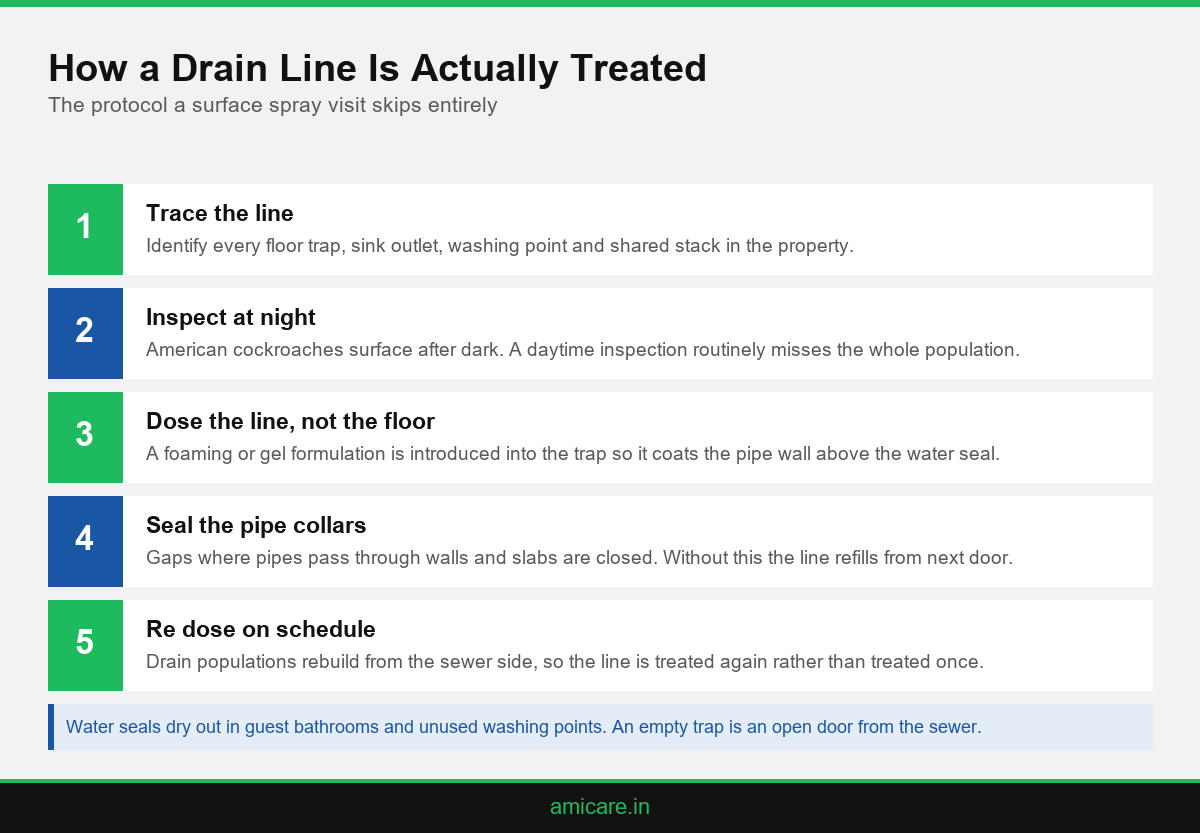Infographic showing the five step drain line cockroach treatment protocol used in Kerala homes