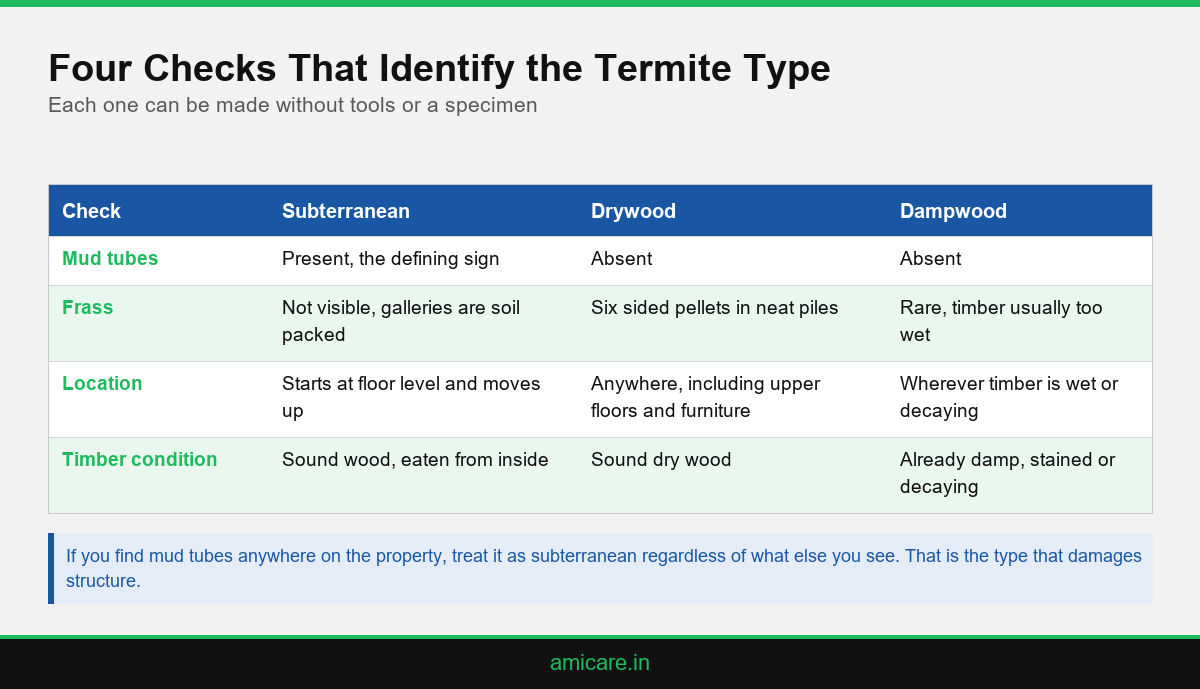 Infographic showing the four checks that identify subterranean, drywood and dampwood termites