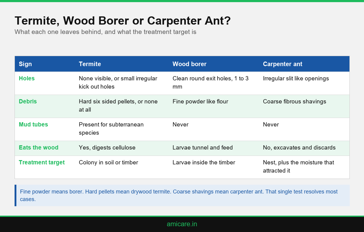 Infographic comparing termites, wood borers and carpenter ants by holes, frass and damage