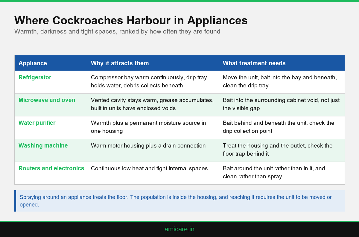 Infographic showing which household appliances harbour cockroaches and why