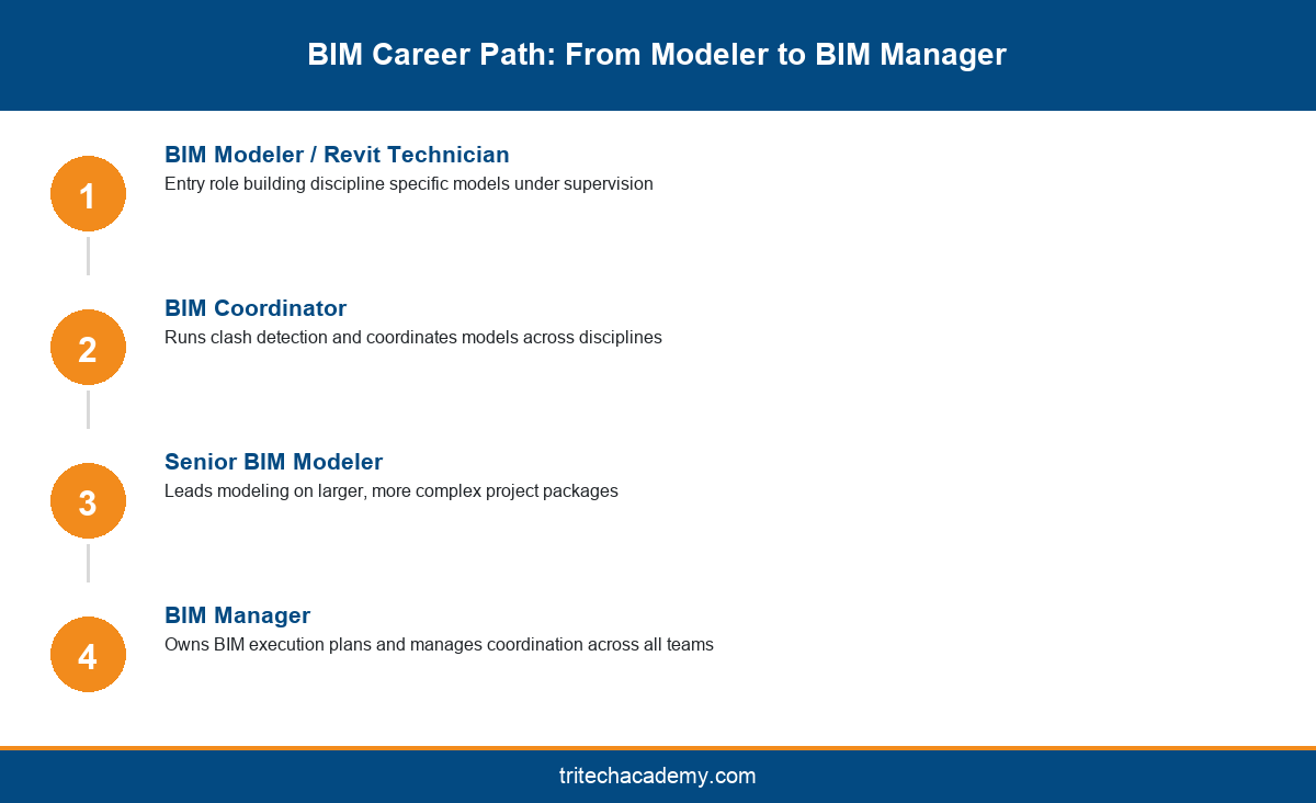 BIM career path from BIM modeler to BIM coordinator to senior BIM modeler to BIM manager