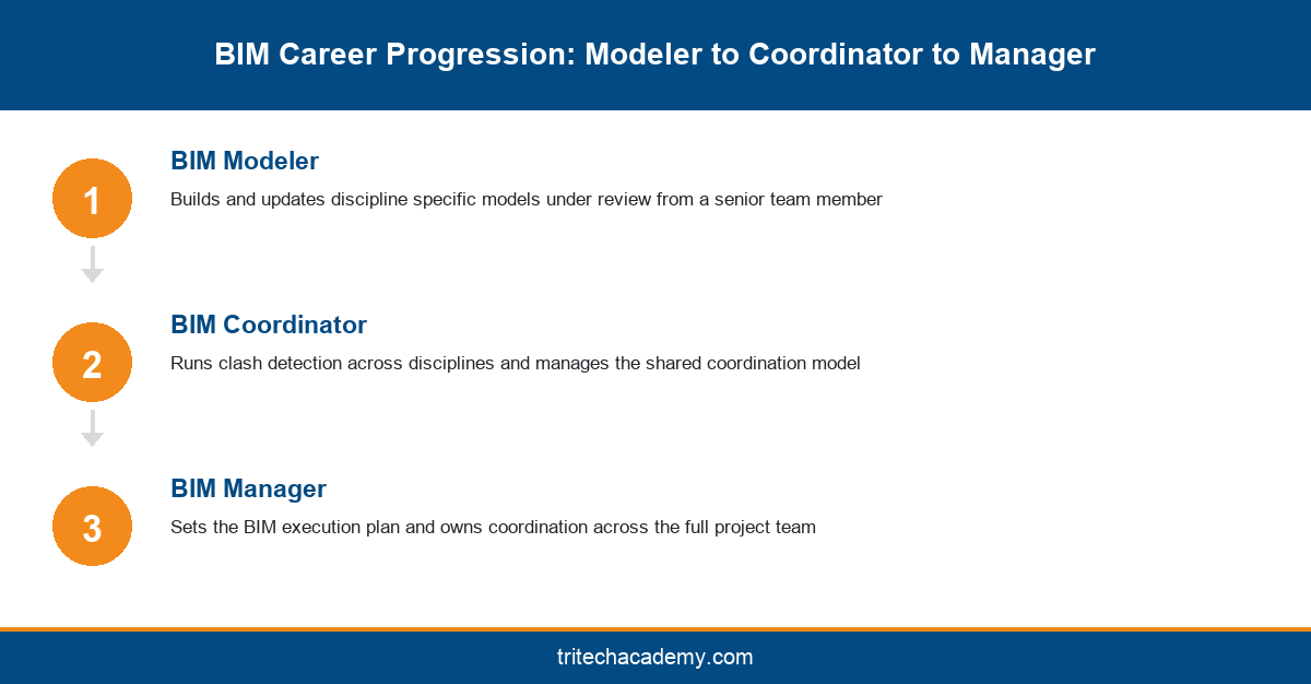Career progression flow from BIM Modeler to BIM Coordinator to BIM Manager